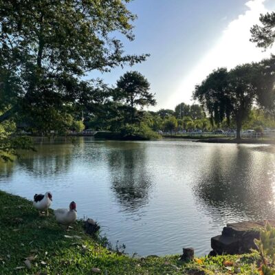 Parque do Trabalhador